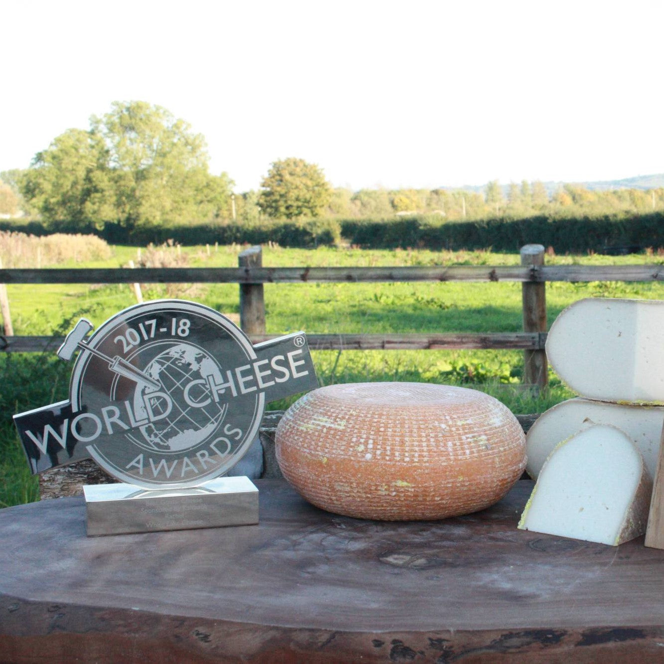 Award Winning Cheese